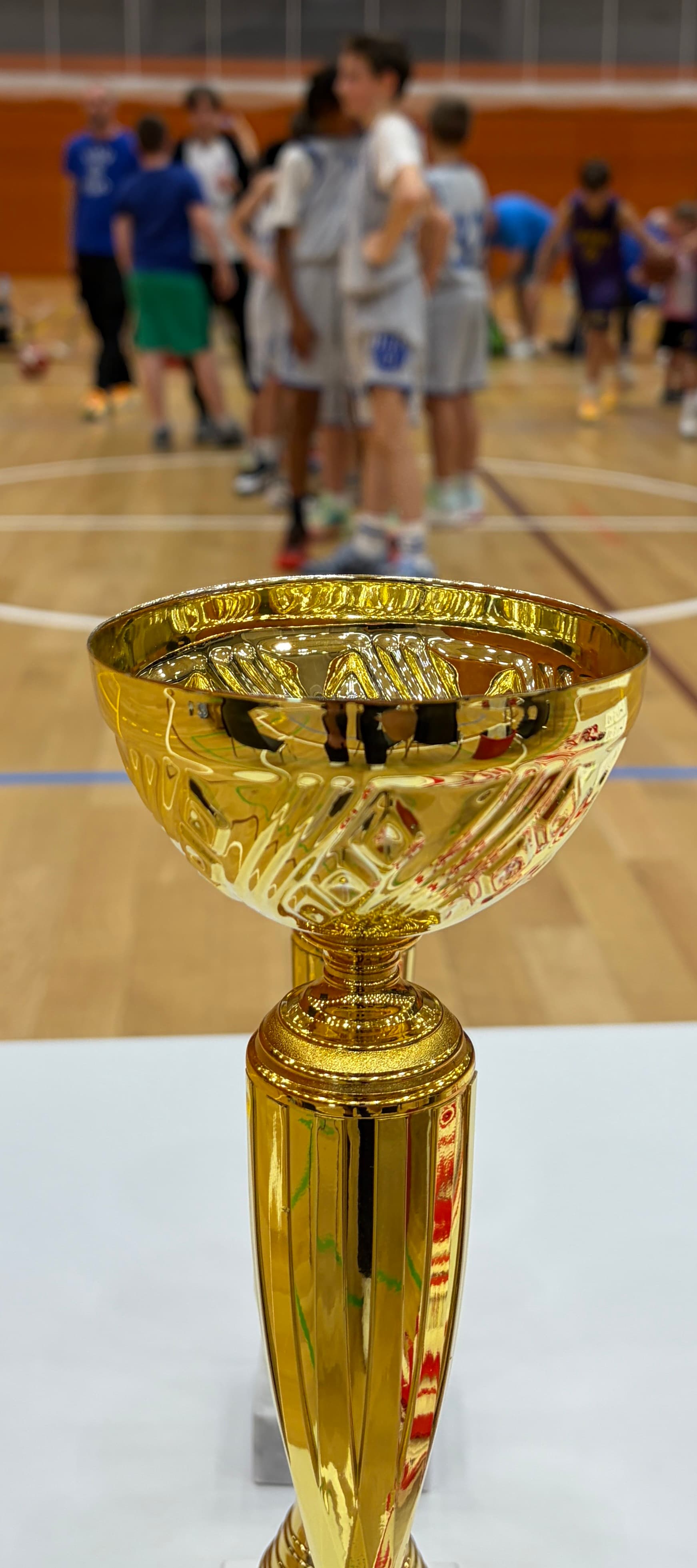 Stars Basketball